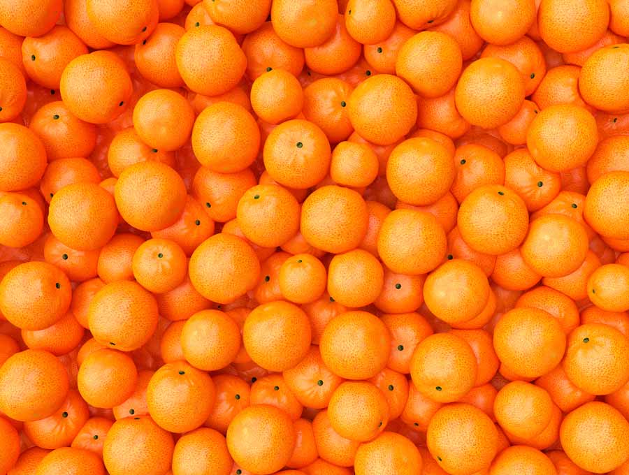 Frische Orangen für Kunden digiposter digiposter 